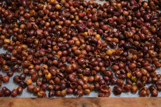 Costa Rican Coffee Cascara from Radio Roasters Coffee